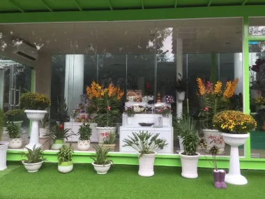 Container showroom shop hoa Q7 S401